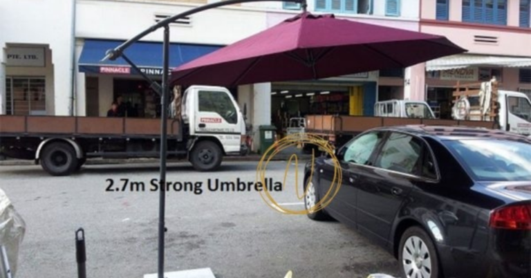 Parasol Umbrella: A Perfect Blend of Style and Functionality