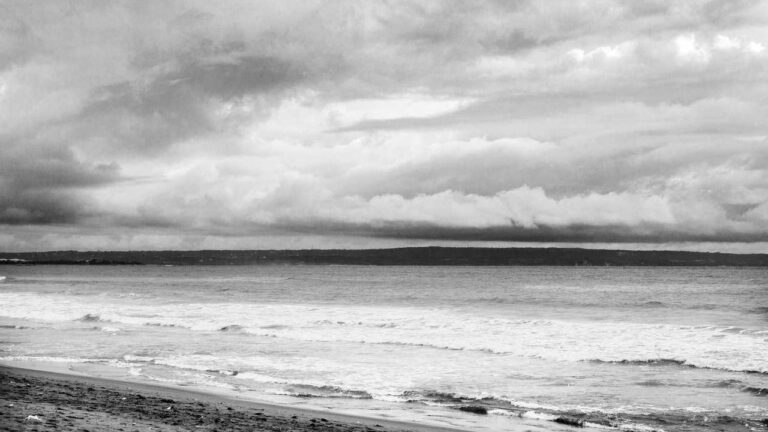 What Is The Cricbet99 Withdrawal Process Step-By-Step?