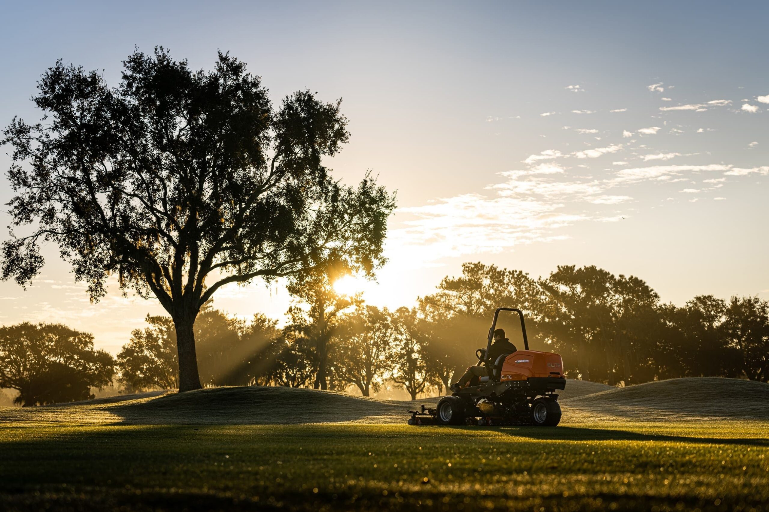 Unlocking the Power of Digital Publishing: An In‑Depth Look at VL Book and Its Impact on Modern Readers